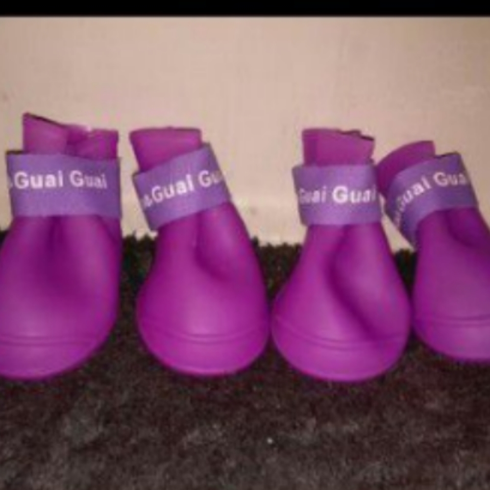 Dog boots
